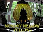 Monday Mellow Yellows