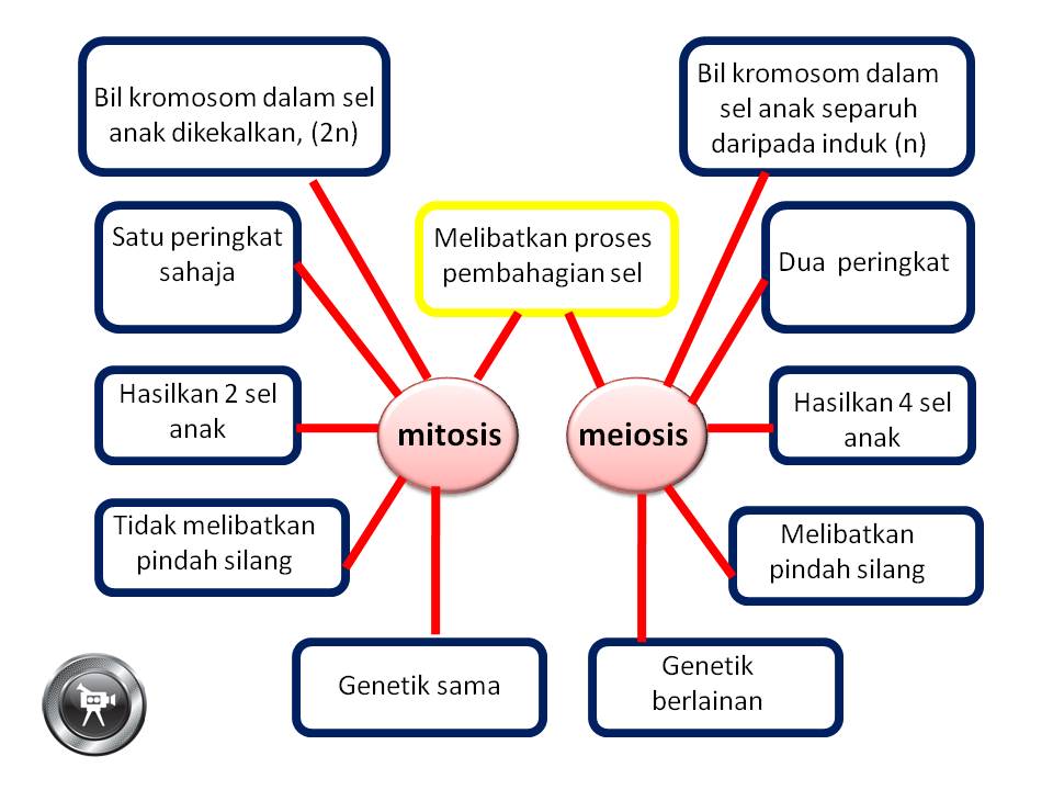 Nota Sains Tingkatan 3