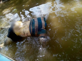 Hallan a hombre decapitado flotando en un rio en Amatitlán Veracruz. Noticias en tiempo real