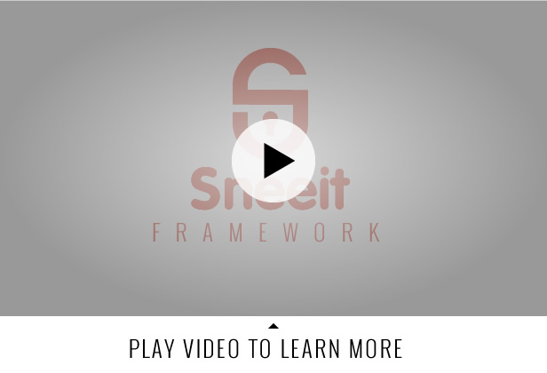 Sneeit Framework Plugin - Back-End for WordPress Themes - best for developers