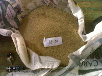 Jangkrik Madu, Jangkrik Alam, Jangkrik Kalung, Jangkrik Genggong Jangkrik Madu, Jangkrik Alam, Jangkrik Kalung, Jangkrik Genggong