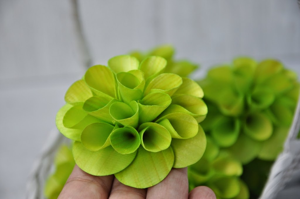 Wooden Dahlias Flowers Made of Birch Wood Shavings Reduce. Reuse