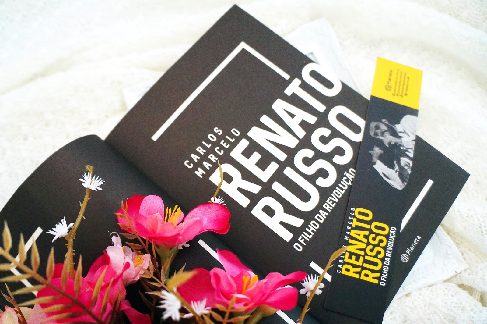 Renato Russo: O Filho da Revoluçao: Marcelo, Carlos: 9788522009077:  : Books