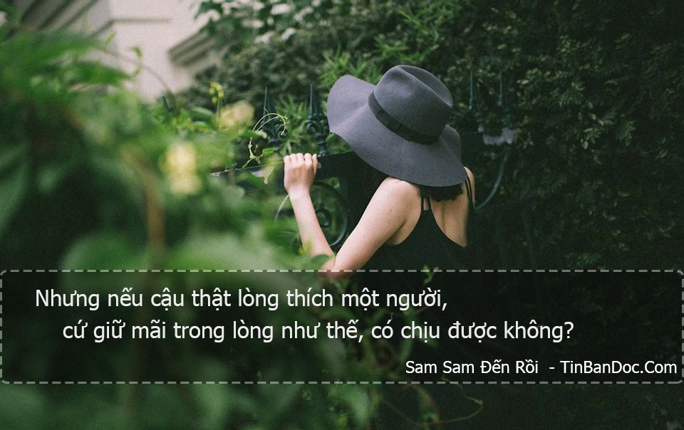 STT, Quotes & Trích Dẫn Tiểu Thuyết Ngôn Tình, Lãng Mạn - Cố Mạn