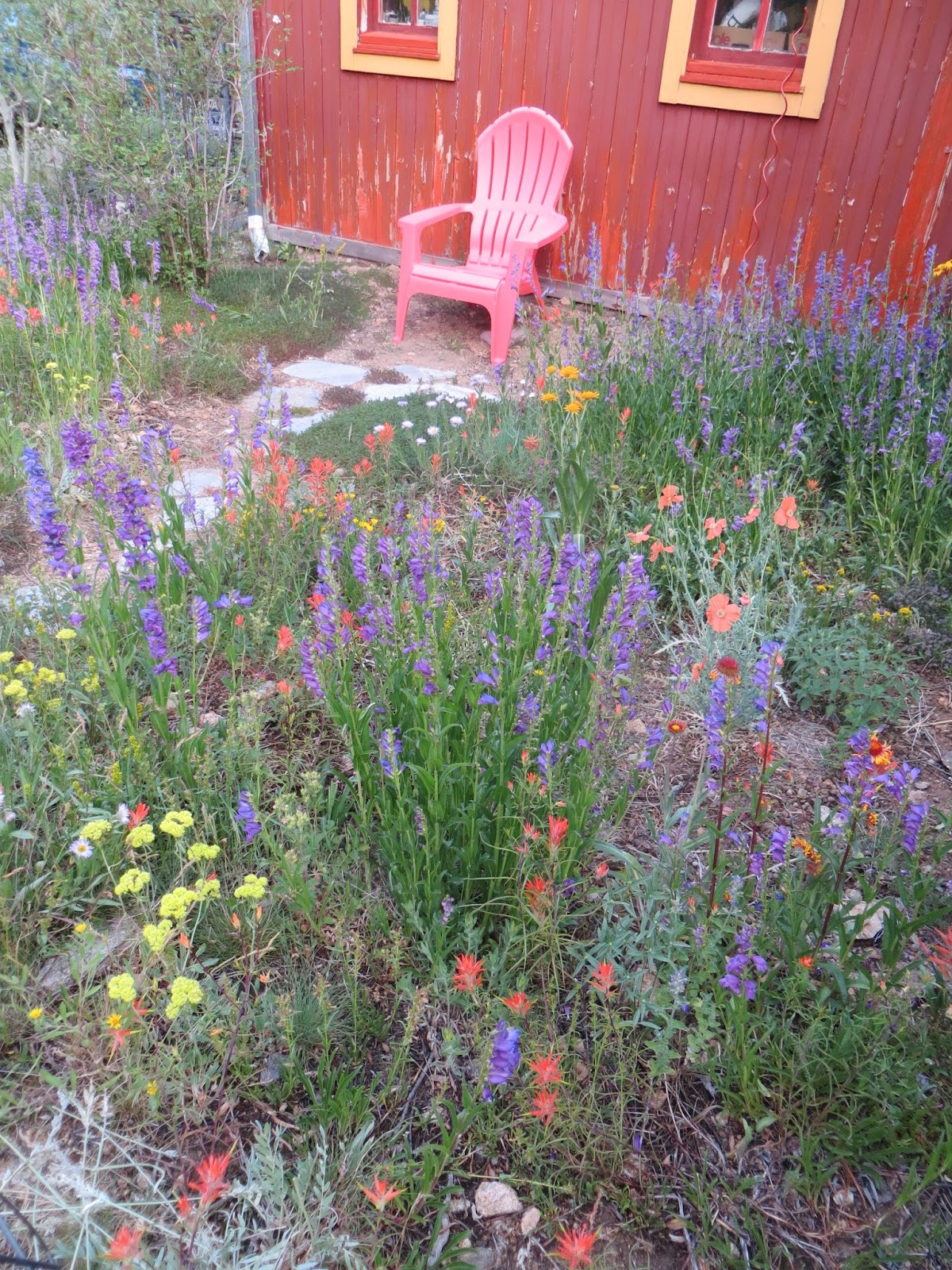 Colorado Mountain Gardener Save The Date Landscaping With Colorado