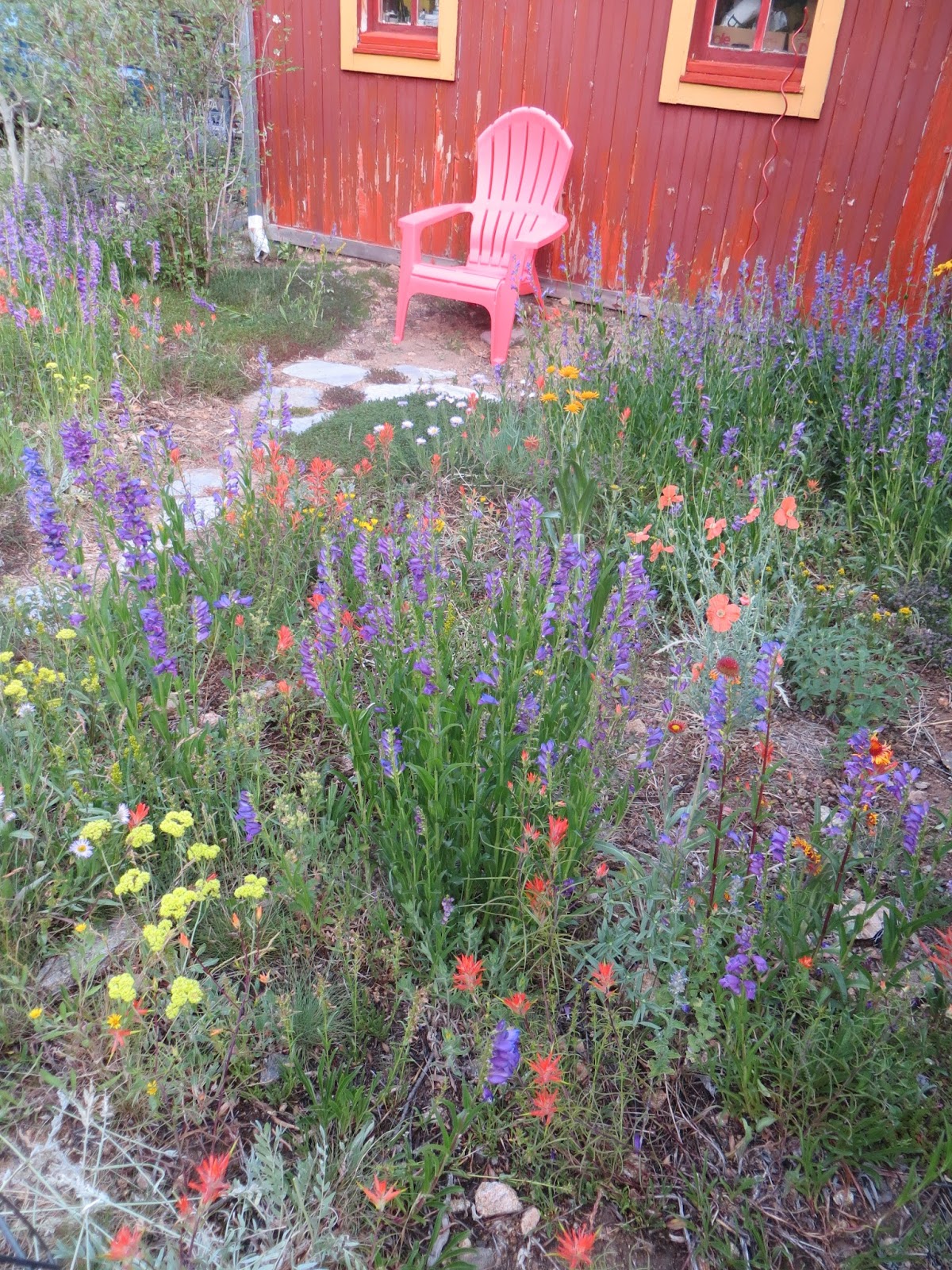 Colorado Mountain Gardener Save the date Landscaping