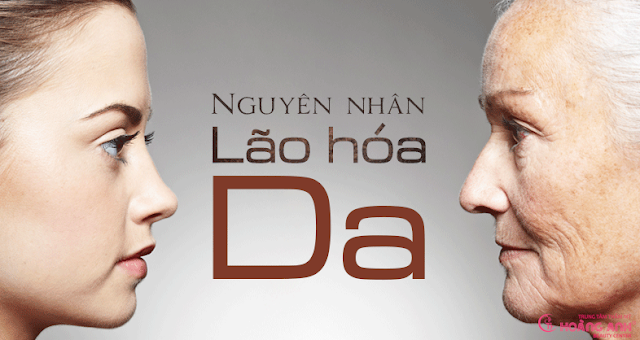 Nguyên nhân gây nên tình trạng lão hóa Nguyên nhân gây nên tình trạng lão hóa