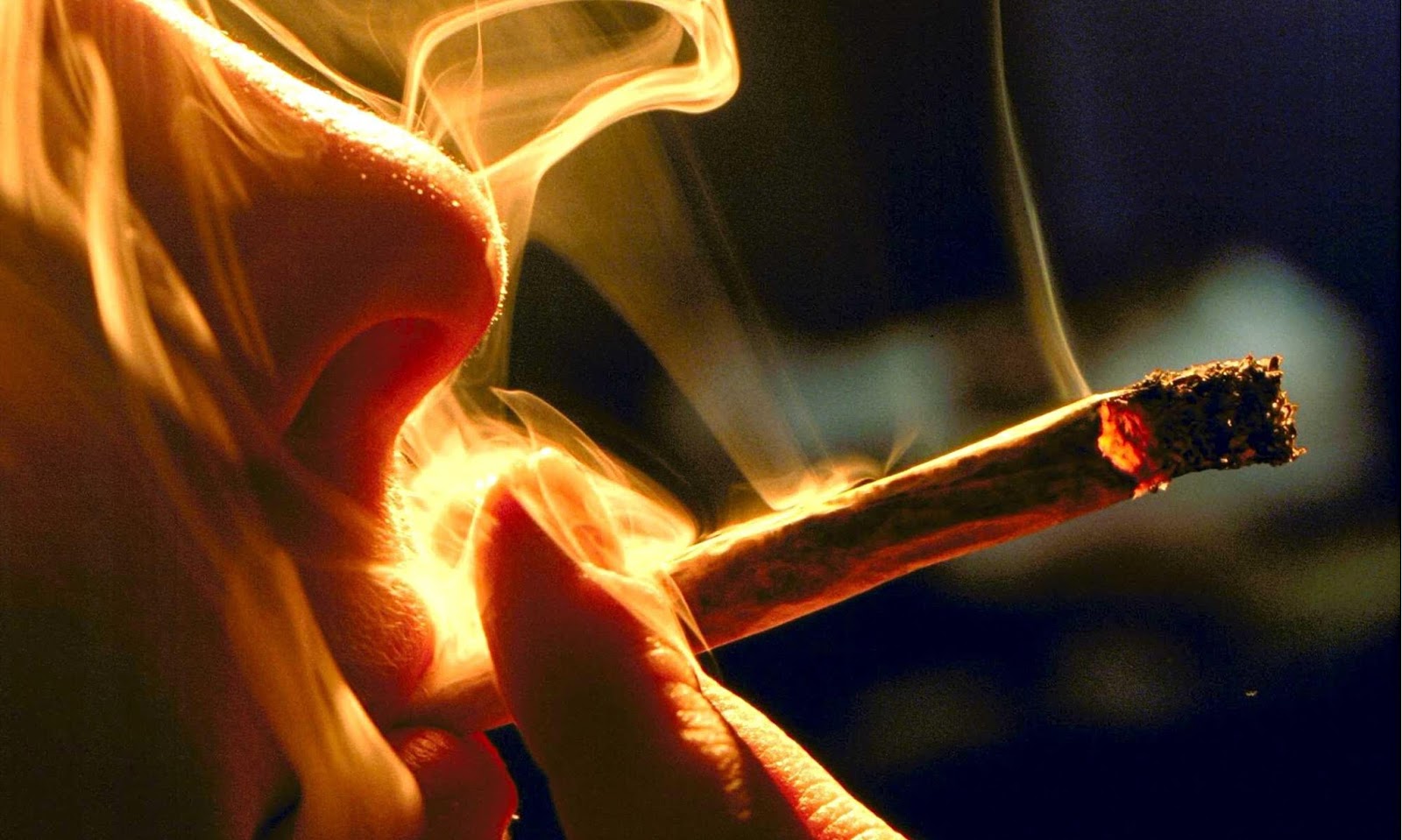 DESERT PSYCHLIST DOPE SMOKER MARIJUANA... album review