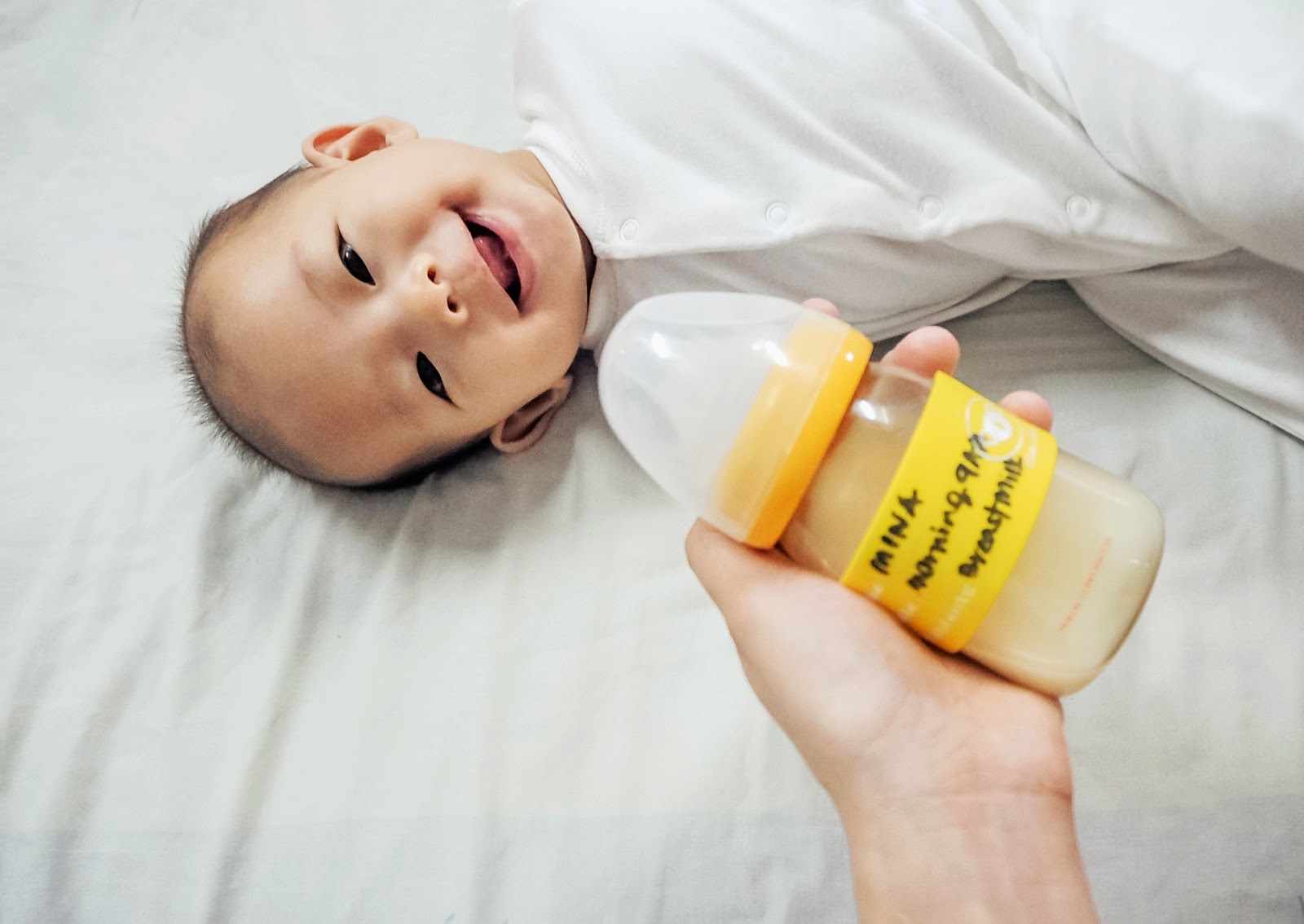 koala baby products