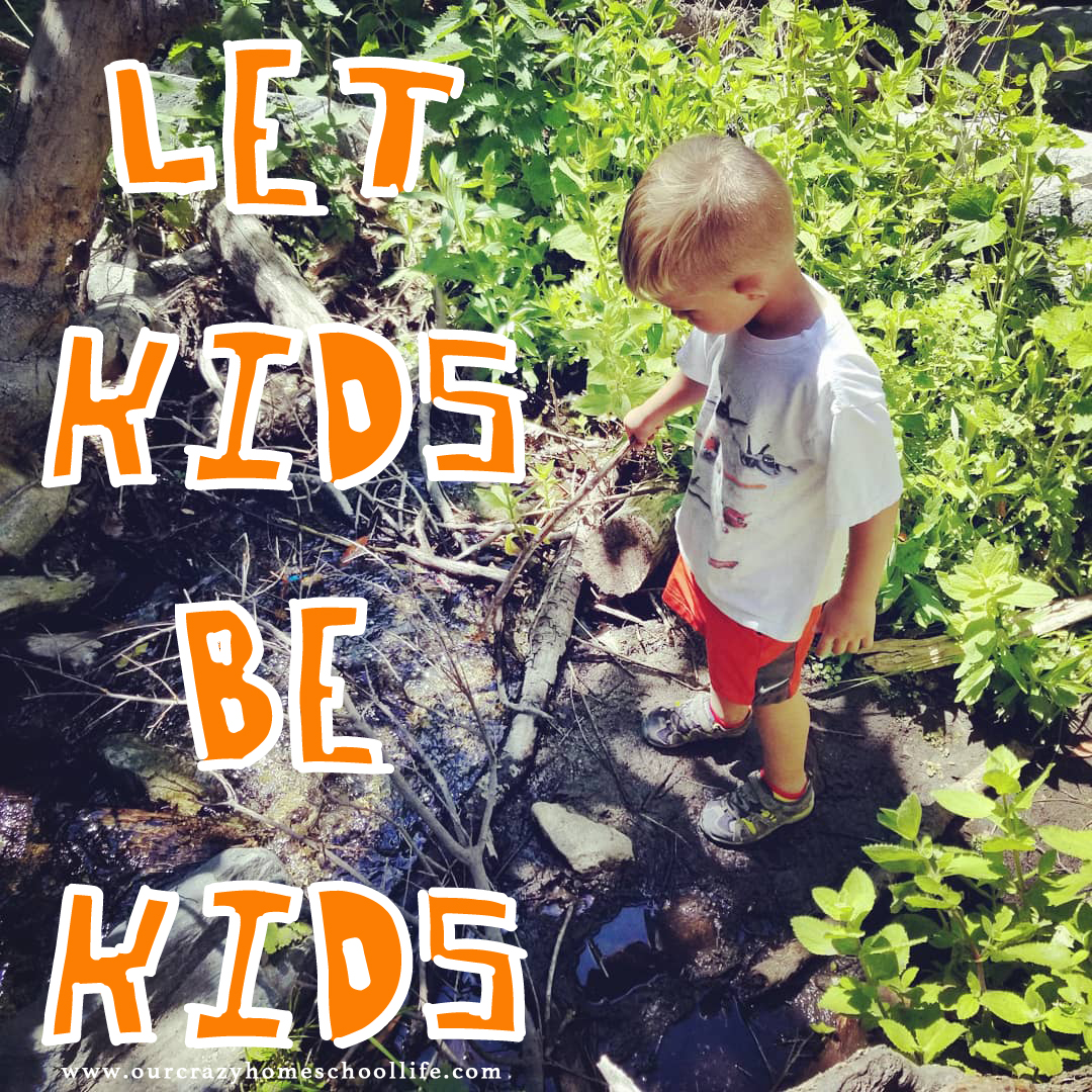 Let Kids Be Kids... Our Crazy Homeschool Life