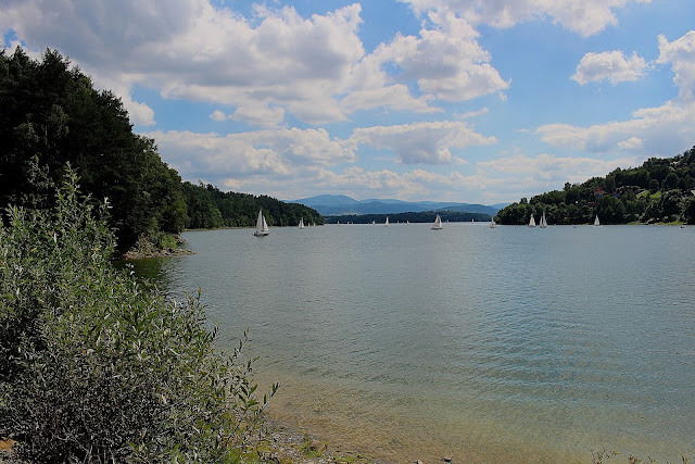 IMG_2829A.jpg