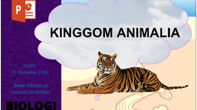 PPT Biologi SMA Kingdom Animalia