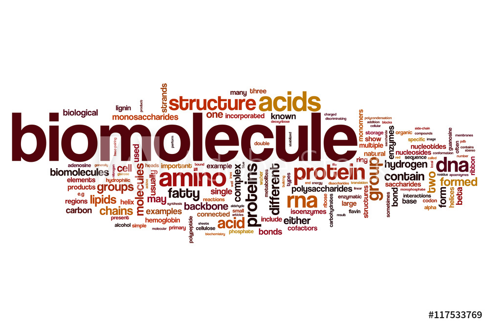 What is Biomolecules And Bond Linking Monomers ? Scienceinal