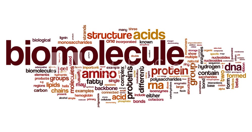 What is Biomolecules And Bond Linking Monomers ? Scienceinal