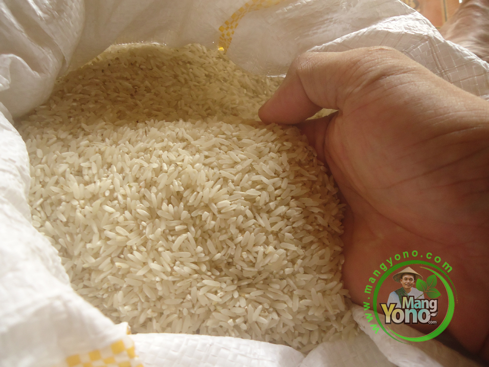 FOTO 6 :    beras padi TRISAKTI  .. Bening dan bersih.   Rendemen tinggi.. Sampai 65%