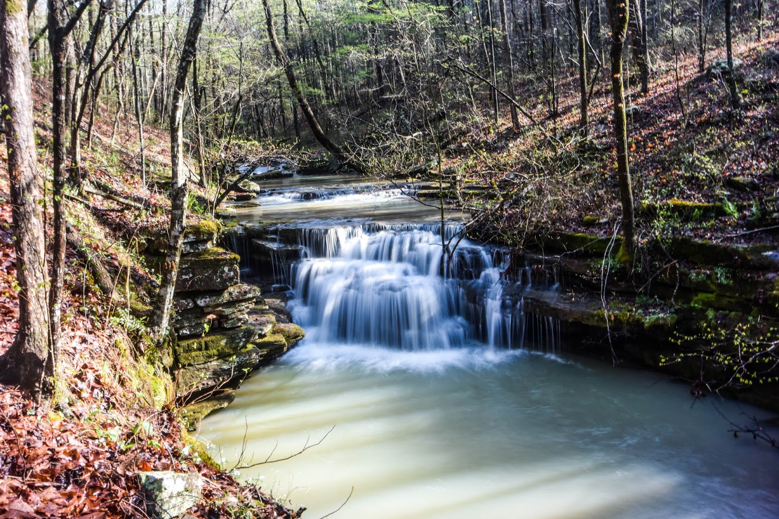 Rick's Hiking Blog Grapevine Shelter, Blue Hole, and Green Grotto