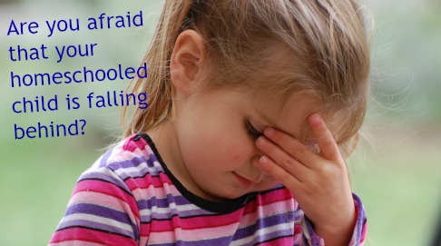 Homeschooled child falling behind Homeschooled child falling behind