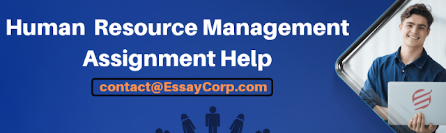 Human Resource Assignment Help – Authentic Solutions Online