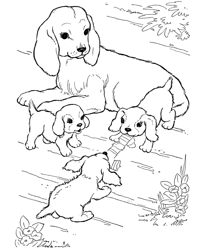 a puppy in a box coloring pages - photo #10