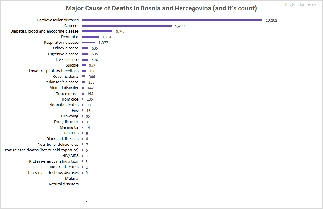 Major Cause of Deaths in Bosnia and Herzegovina (and it's count)