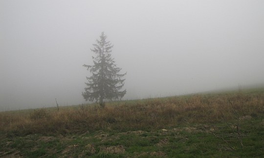 Mgła osaczająca stoki Mizarne.