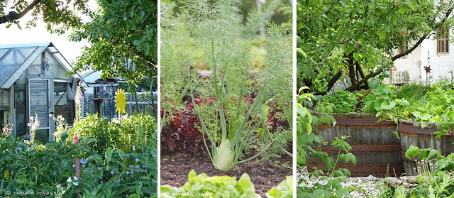 ästhetischer Gemüsegarten