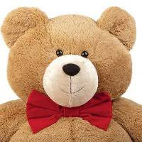 teddy bear teddy bear