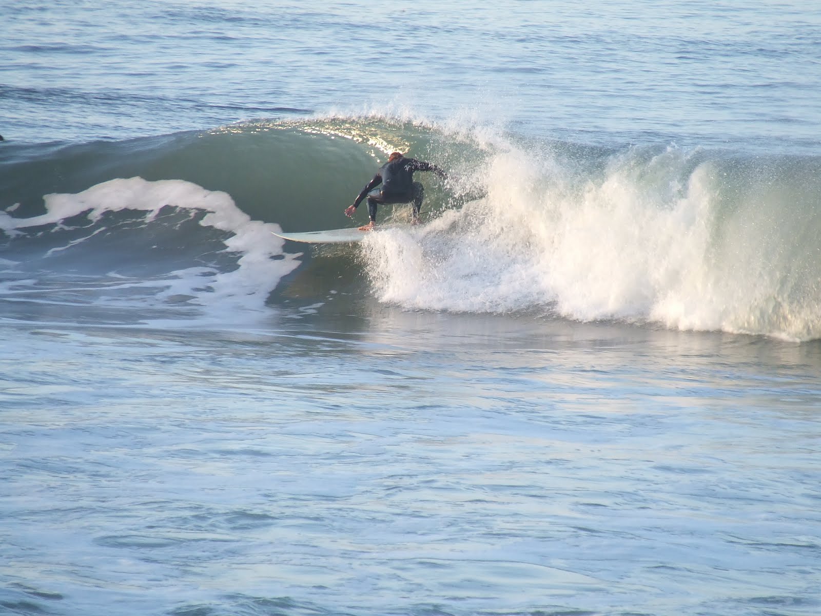 Travels with Rico and Nugget January 2012