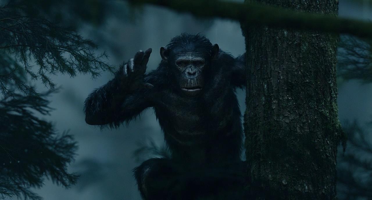Dawn Of The Planet Of The Apes Subtitles Dawn Of The Planet Of The Apes 2014 720p BluRay x264 Dual-Audio