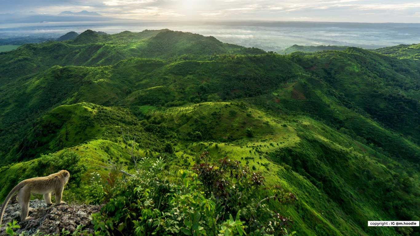 7 Tempat Wisata di Tulungagung yang Wajib Anda Kunjungi - Carteran Kediri
