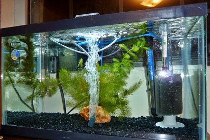 Aksesoris Aquarium Batu Hias Murah