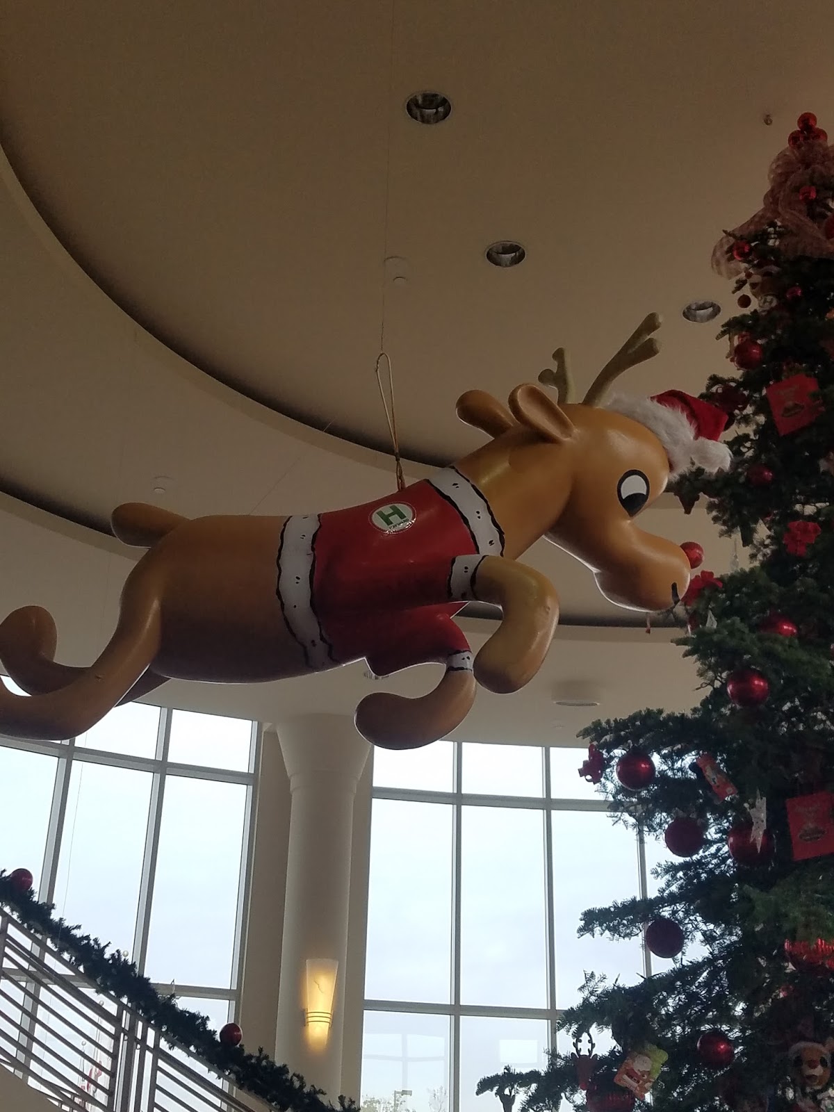 Adventures in Weseland Downtown Hayward Tree Lighting and Santa Con