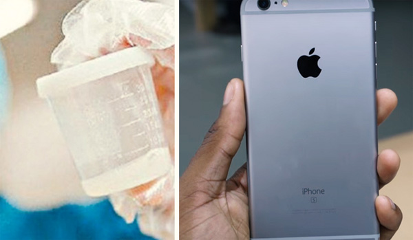 Give Sperm Take I Phone Give Sperm Take I Phone