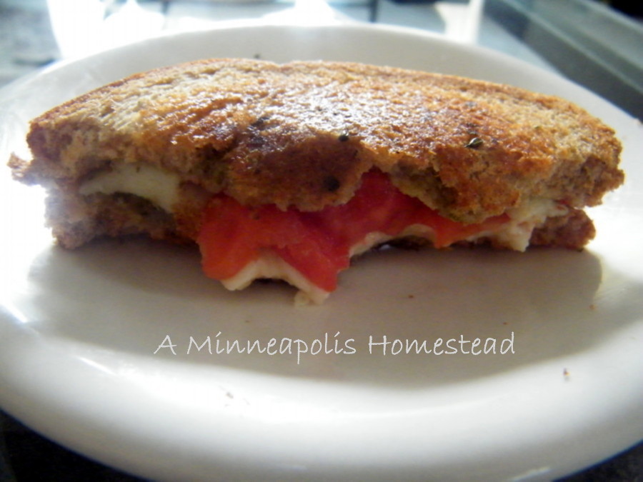 Caprese Grilled Cheese Sandwich Recipe Minneapolis Homestead