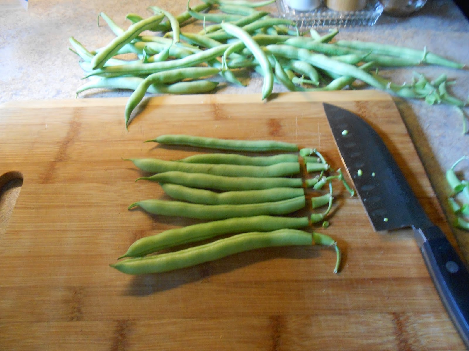 Windy Acres Diary Green Bean Season