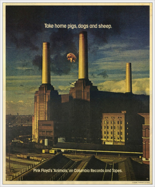 Pink Floyd Ilustrado Animals Pink Floyd