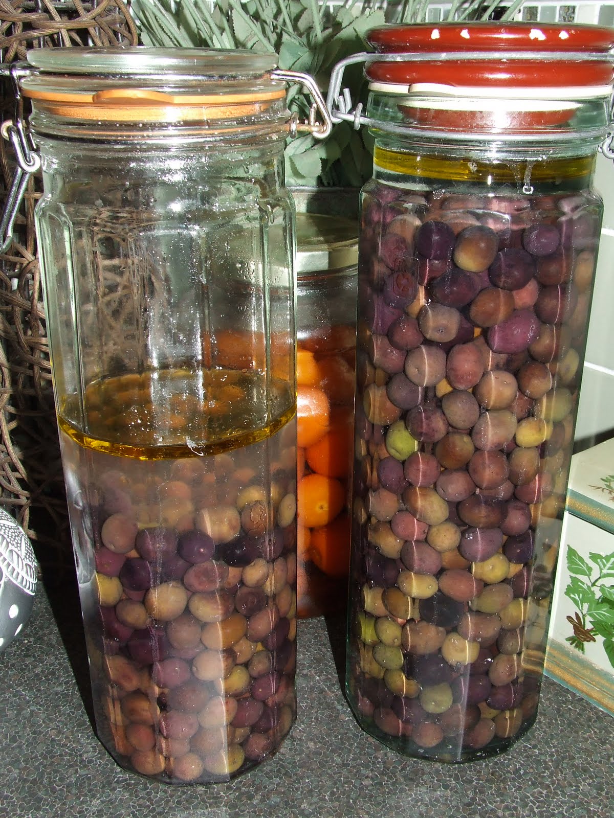 Simple, Green, Frugal Coop Curing Olives At Home