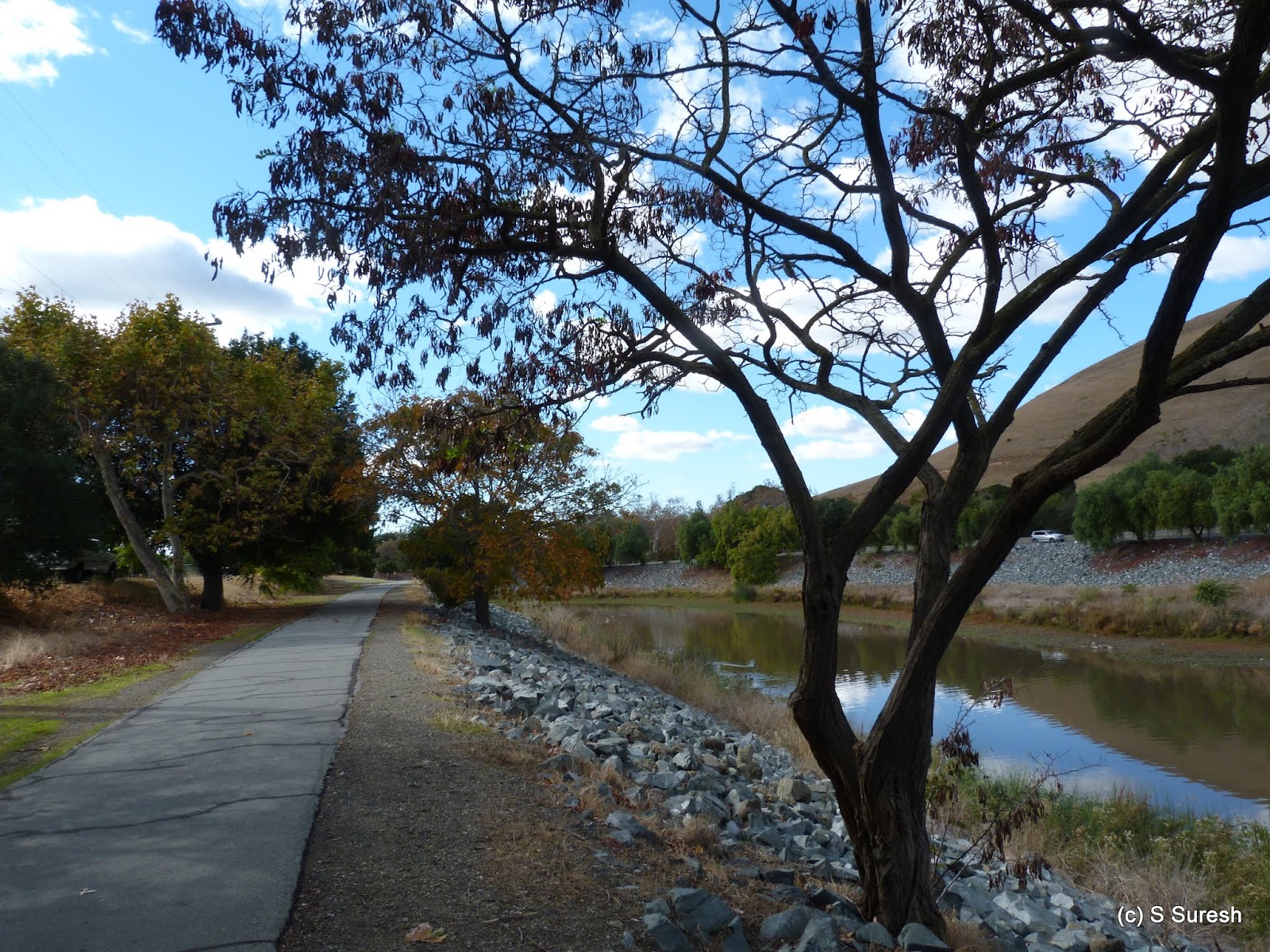 Dog Friendly Hikes Alameda Creek Trail 20151110
