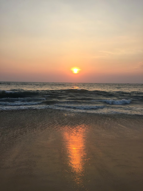 best things to do in kochi india
