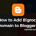 How to Add Bigrock Custom Domain to Blogger - 2017
