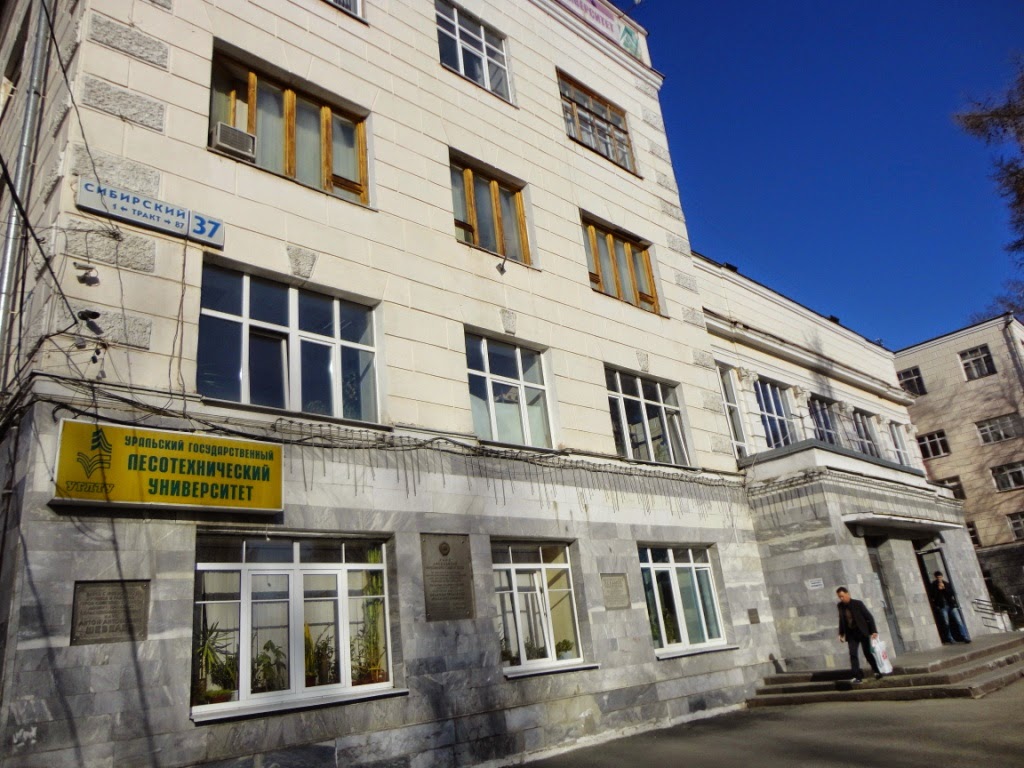 Лесотехнический университет екатеринбург фото