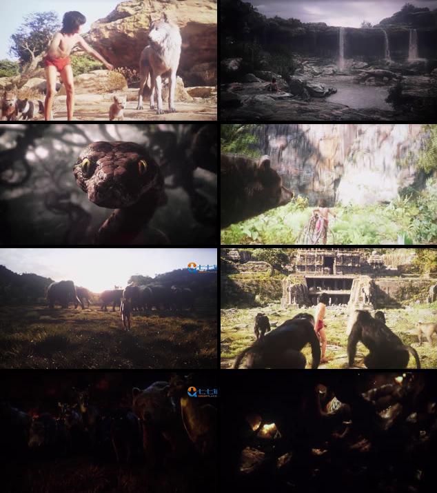 The Jungle Book 2016 Dual Audio Hindi 480p HDTS The Jungle Book 2016 Dual Audio Hindi 480p HDTS