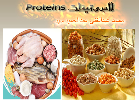 البروتينات هي المصدر الرئيسي للطاقة في الجسم غالبا