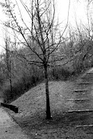 Baum Baum