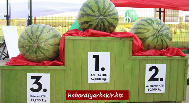 Diyarbakır’da kültür ve karpuz festivali düzenlendi Diyarbakır’da kültür ve karpuz festivali düzenlendi