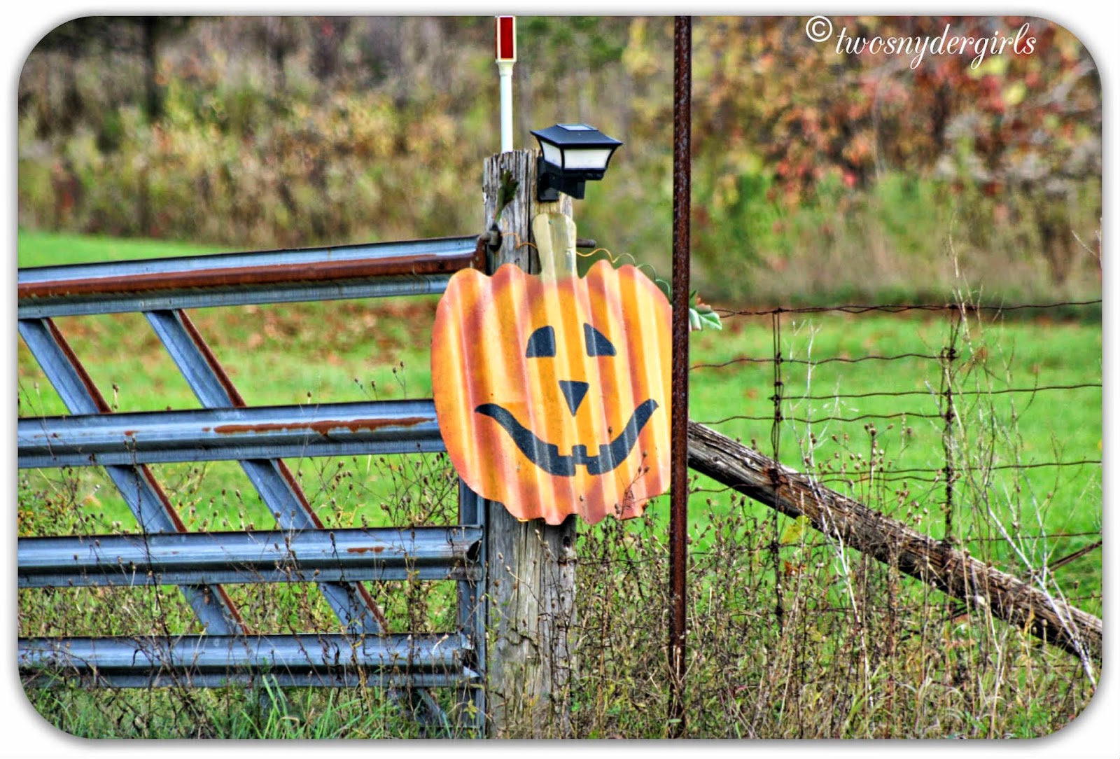 Halloween decoration on fence