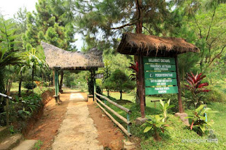curug cihurang bogor