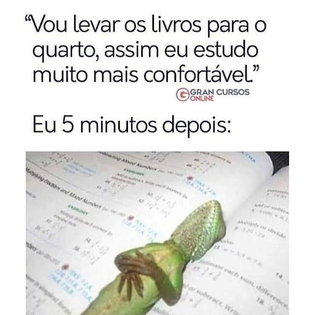 Memes+engra%25C3%25A7ados++%252841%2529.