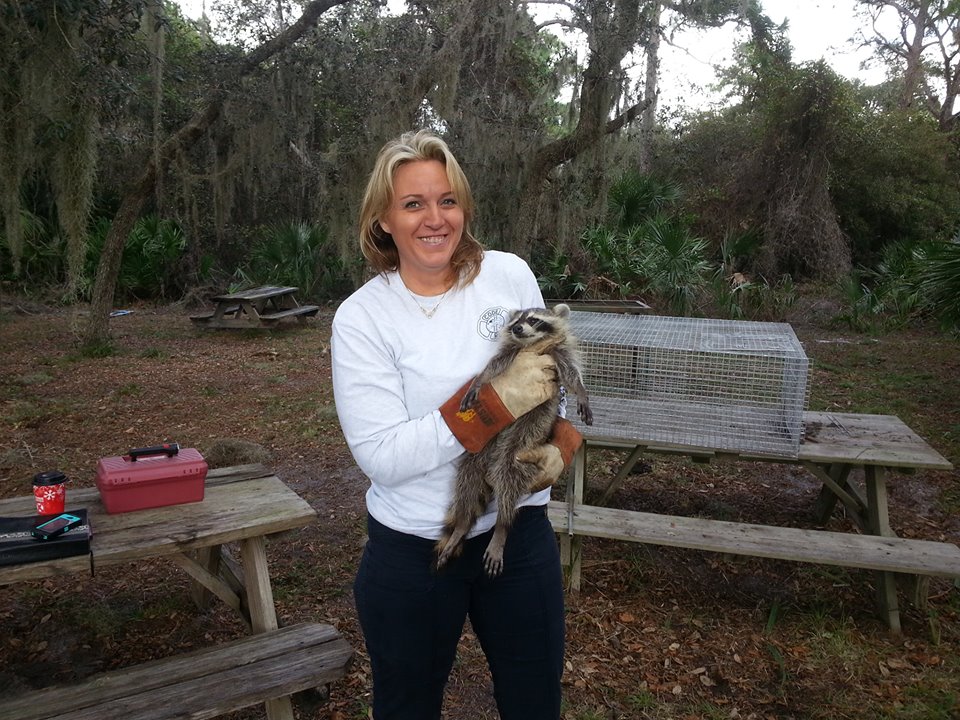 DPS Wildlife Animal Removal: DPS Wildlife Animal Removal