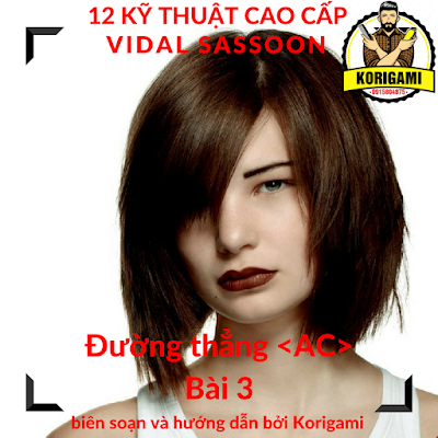 [VIDAL SASSOON] 12 KỸ THUẬT CẮT TÓC NỮ GIÁO TRÌNH ABC DÀNH CHO LỚP NA